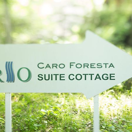 Отель Caro Foresta Kita Karuizawa Rio Цумагои Экстерьер фото